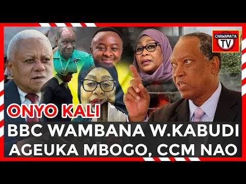 KABUDI AMPANDISHIA MWANDISHI WA BBC| MASWALI MAZITO KUHUSU SILAHA TZ|| CCM SHINGO UPANDE KUHUSU TUME