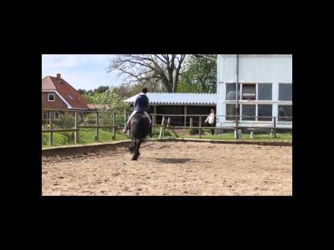 Friesenwallach Wiebe