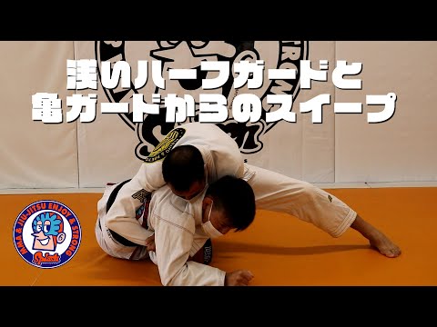 浅いハーフガードと亀ガードからのスイープ