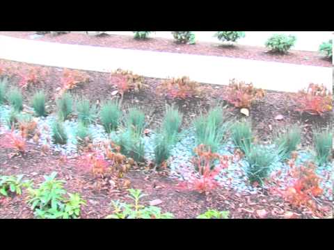 The Sustainably-Designed Keizer Transit Center