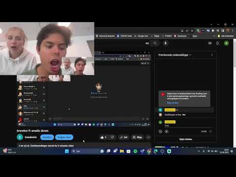 brandon fr amalie skram