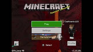 How To Get FREE Minecraft Skins In iPhone Or iPad