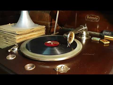 I Love To Whistle. Jim Davidson's Dandies. Regal 78rpm