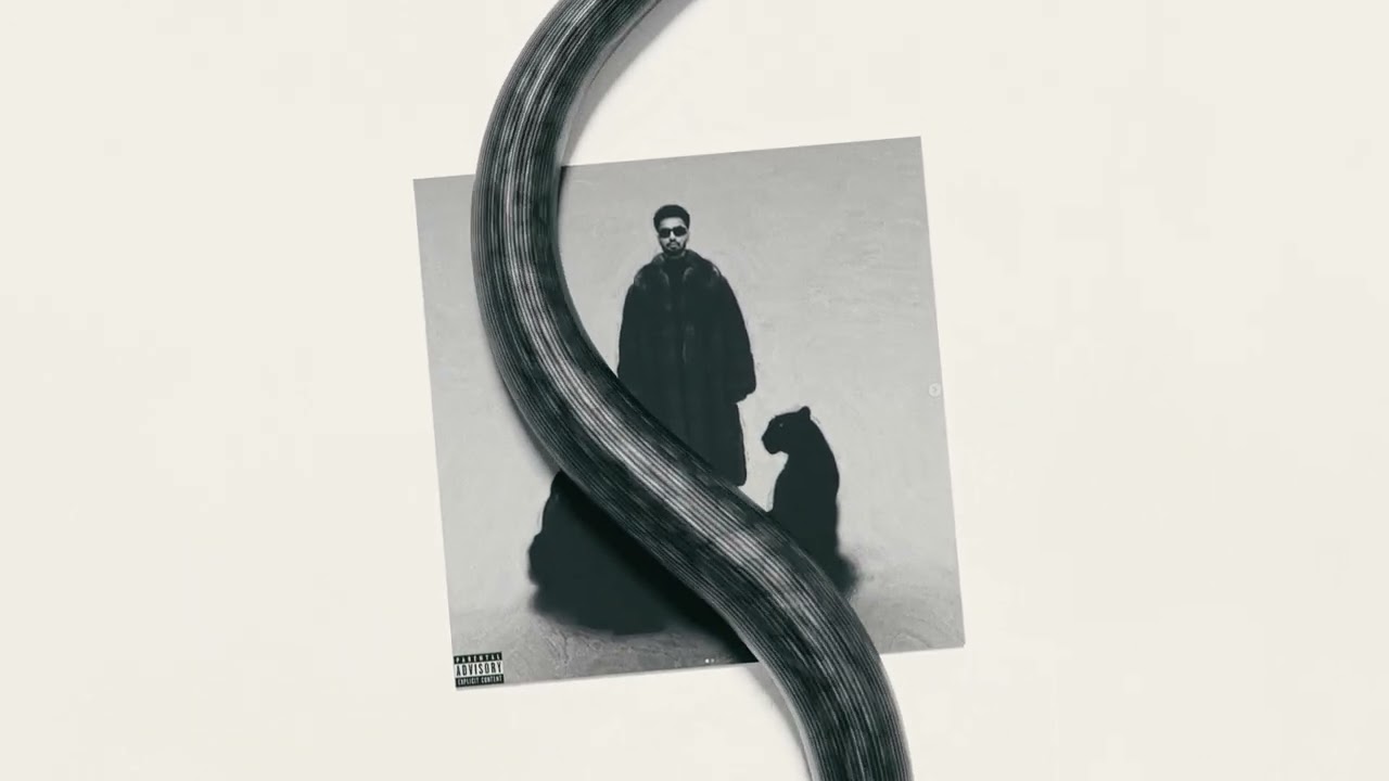 Racks on Racks Lyrics | House Navior | Navaan Sandhu