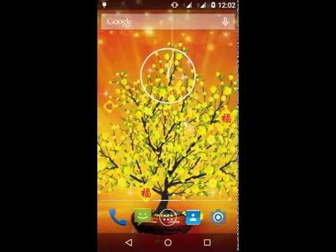 Mai Tet Live Wallpaper Video