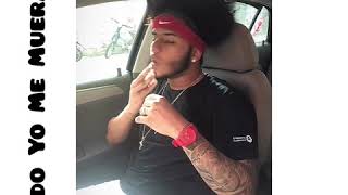 Laidil - Cuando Yo Me Muera (Freestyle)