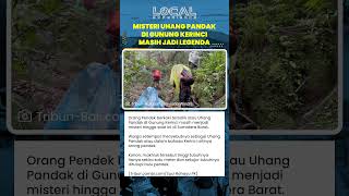 Uhang Pandak, Misteri Orang Pendek Berbulu dengan Kaki Terbalik yang Diyakini Mendiami Hutan Kerinci