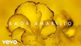 Cover art for Amor Amarillo