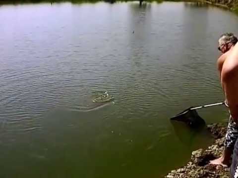 Mai 2013 Crap Oglinda@ Hanul Pescarilor Sancraiu de Mures