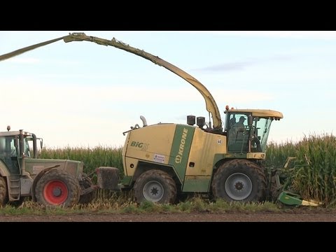 Krone BiG X 850 Maishäcksler bei der Maisernte