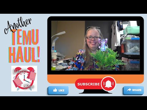 Temu Haul | 20230926 | Not Sponsored
