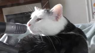 Video thumbnail for Micro Sony ECM   MS907 by chapterwan