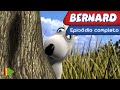 Bernard Bear 04 Balanço Episódio Completo
