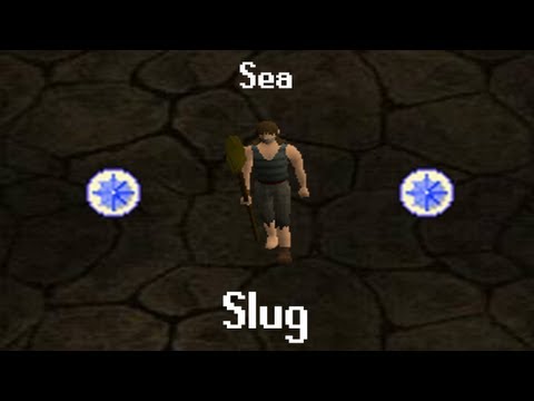 Sea Slug - Quest Guide