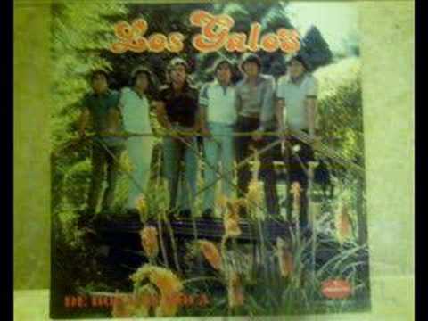 LOS  GALOS....DIME SI ME AMAS