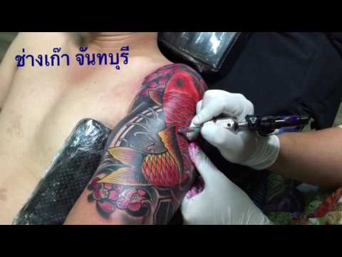 ความอ่อนแอฟักทอง เพิ่มขึ้นในสมาชิก Togliatti