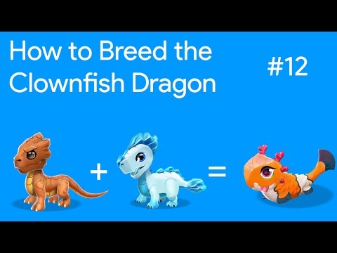 How to Breed the Clownfish Dragon | DML Breeding Guide #12