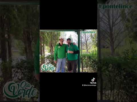 La Ola Verde - Cómo Dónde Y Por Qué - Misc…