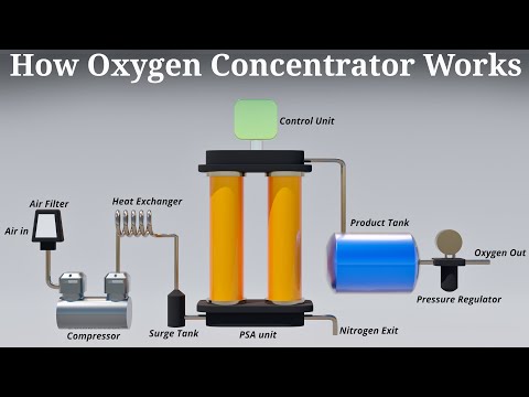 Dual Flow Oxygen Concentrator