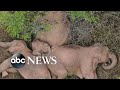 Elephants Rest Solar Eclipse Students Go To Prom The Week In Photos
