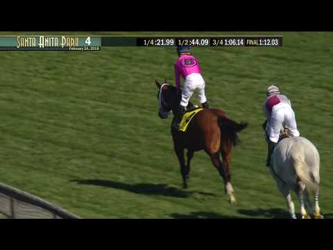 Daytona Stakes (Grade III) -  02/24/18