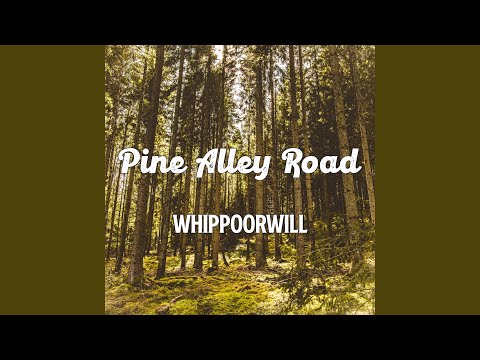 Whippoorwill - Pine Alley Road