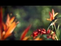 ♫ Vangelis ~ Prelude ♫ - 777loveisall ♫ Vangelis ~ Prelude ♫
