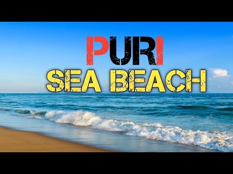 Top Most Attraction of PURI Sea Beach in Odisha India 🏖️❗️⭕️⭕️❗️