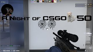 "What's a Matter Baby?" A Night of CSGO #50