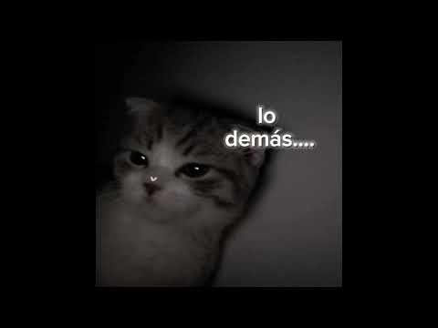 Te llevaré como un Tattoo.....#cacion