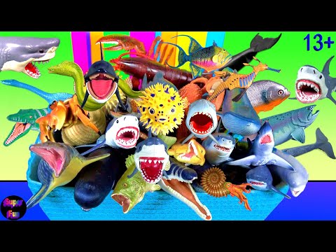 Meerestiere - Haie, Wale, Schildkröten, Kopffüßer, Hummer, Meeresreptilien 1