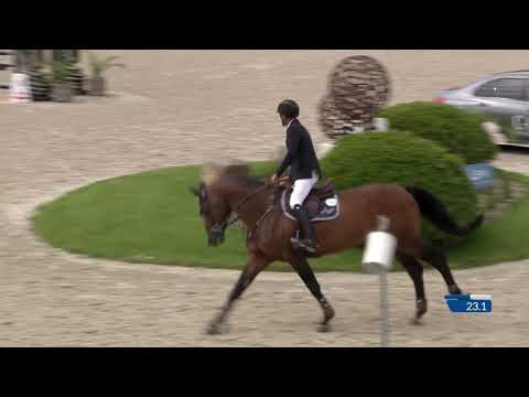 United Touch S-Two Phases Special - 1.40m- Sentower