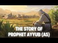 The Story Of Prophet Ayyub AS