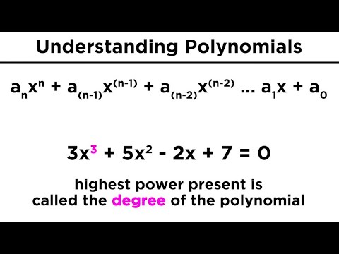 Introduction to Polynomials