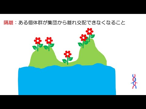 マイクロバイオーム: 隔離による種の豊かさ