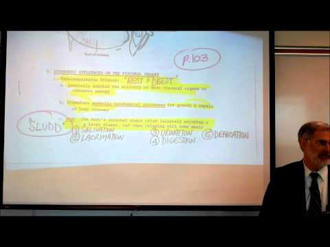 AUTONOMIC NERVOUS SYSTEM; PART 3 by Professor Fink.wmv