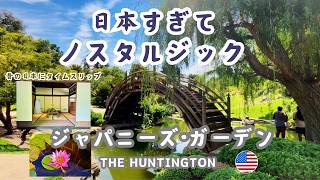 アメリカの日本庭園が完璧すぎた！/ロサンゼルス旅行/海外生活