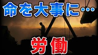 ゆっくり毒物vol.138　労働【ゆっくり解説】