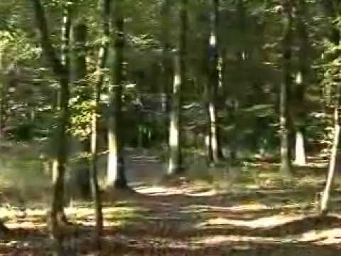 Az Ormánság hagyományai és mondavilága