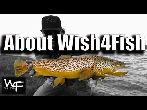 W4F - About Wish4Fish