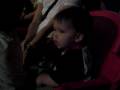 Sesame Street Live