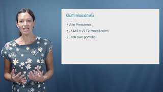 European Commission (2/2): Internal Organisation