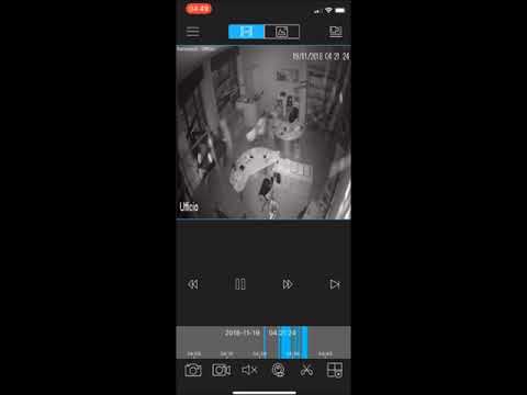 Sedriano: ladri alla S.G.A. di via De Amicis, i ladri ripresi dalle telecamere