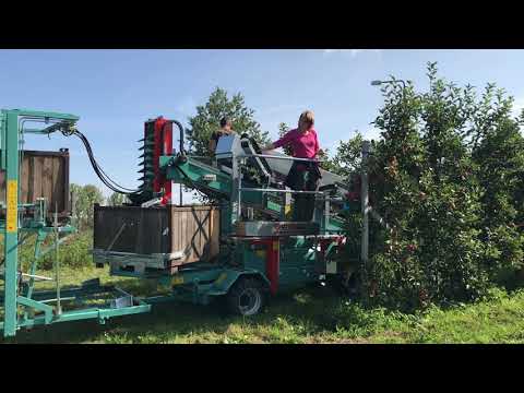Stadtgut Görlitz First Day with CF105  and Trailer from Frumaco