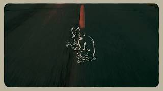 The Almost - I Want It Real