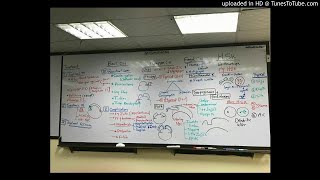 12) Dr. wael salah Cornea -ttt  till herpes simplex keratitis- (general)