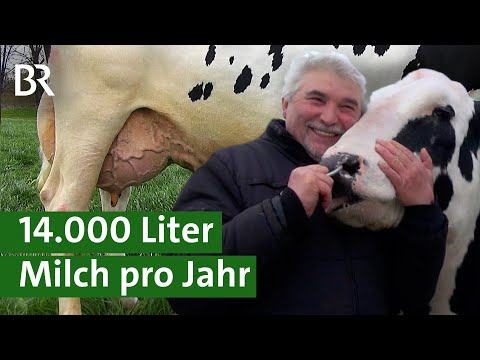 Holstein Friesians: Kühe von Weltklasse mit hoher Milchleistung | Kuhmilch | Unser Land | BR
