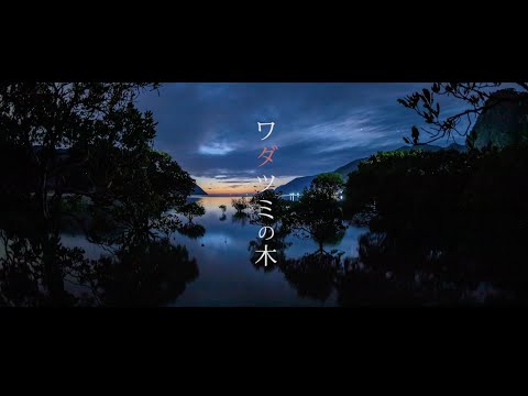 中 孝介『ワダツミの木』Lyric Video