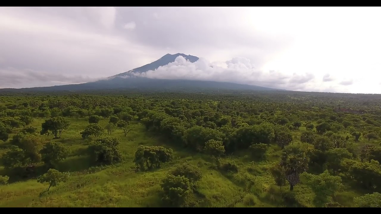 8334109 uhd 4096 2160 25fps