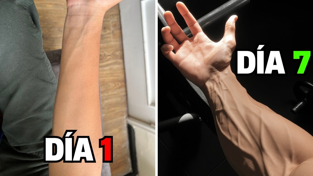 La Rutina PERFECTA de ANTEBRAZOS en Casa